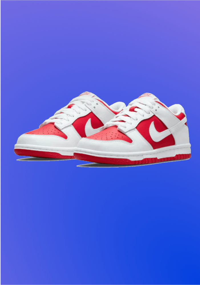 Nike Dunk Low